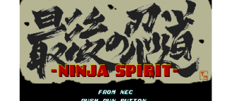 Ninja Spirit