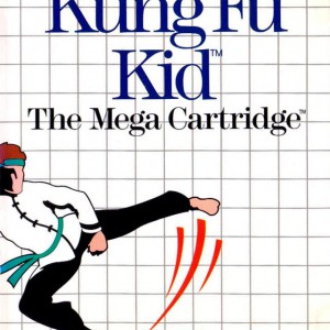 Kung fu Kid