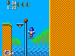 Sonic10