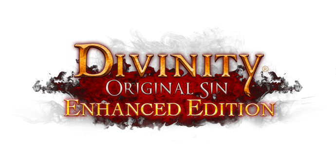 Divinity : Original Sin : Enhanced Edition