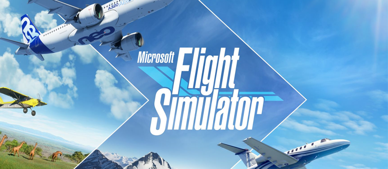 Microsoft Flight Simulator